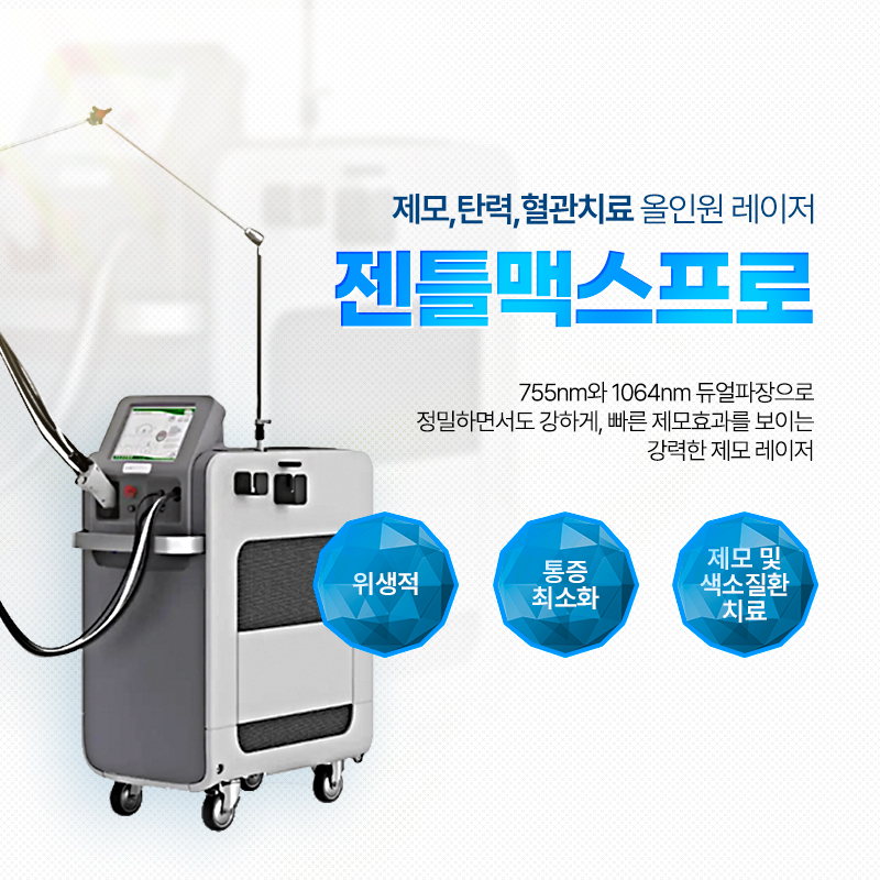 젠틀맥스프로 - 서귀포점